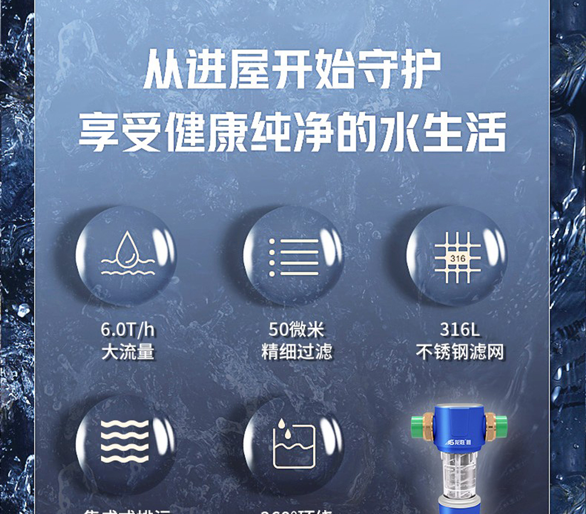 龍勝前置過濾器LS-HGS-19